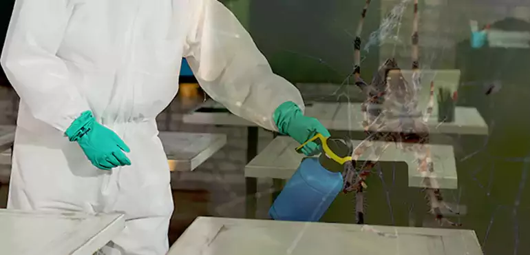 Why Buyers Still Want Homes With Pest Infestations in Corpus Christi, TX?
