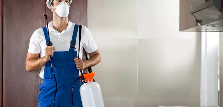 Why Corpus Christi Homeowners Choose Us When Pests Make Selling Difficult